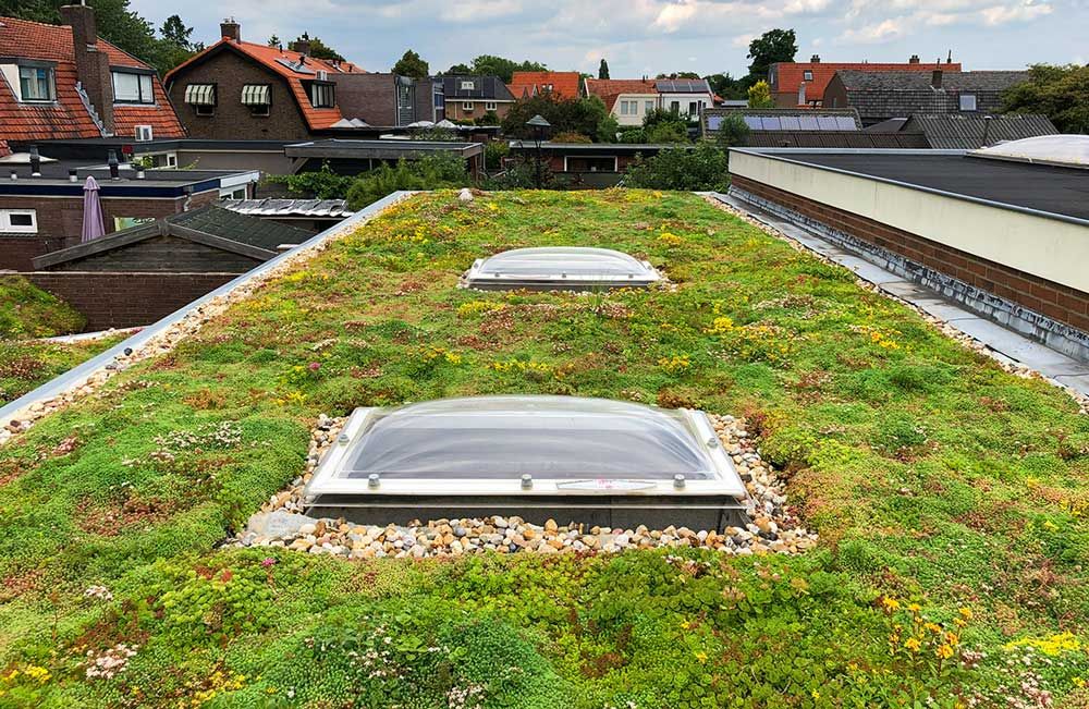 Groot groendak met lichtkoepels